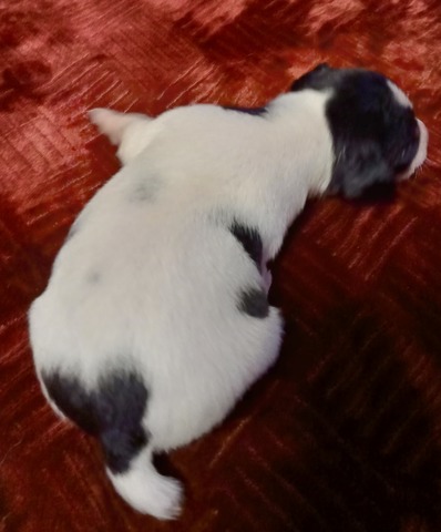 20201105_184513_HDR~2