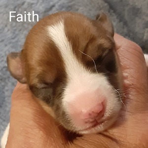 Faith